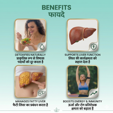Itivedam Liver Detox Capsule